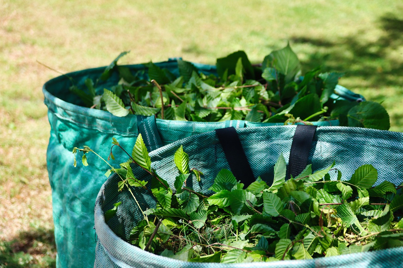 10 Tips for Sustainable Gardening Practices